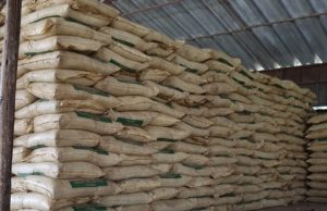 Gobierno Regional adquiere 120 toneladas de guano de islas para la producción de pasturas