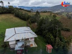 𝐏𝐉: 𝐃𝐈𝐒𝐏𝐎𝐍𝐄𝐍 𝐄𝐌𝐁𝐀𝐑𝐆𝐎 𝐃𝐄 𝐁𝐈𝐄𝐍𝐄𝐒 𝐃𝐄 𝐏𝐄𝐃𝐑𝐎 𝐂𝐀𝐒𝐓𝐈𝐋𝐋𝐎 𝐘 𝐀𝐍𝐈́𝐁𝐀𝐋 𝐓𝐎𝐑𝐑𝐄𝐒