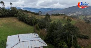 𝐏𝐉: 𝐃𝐈𝐒𝐏𝐎𝐍𝐄𝐍 𝐄𝐌𝐁𝐀𝐑𝐆𝐎 𝐃𝐄 𝐁𝐈𝐄𝐍𝐄𝐒 𝐃𝐄 𝐏𝐄𝐃𝐑𝐎 𝐂𝐀𝐒𝐓𝐈𝐋𝐋𝐎 𝐘 𝐀𝐍𝐈́𝐁𝐀𝐋 𝐓𝐎𝐑𝐑𝐄𝐒