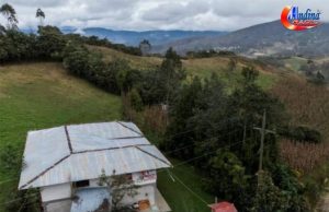 𝐏𝐉: 𝐃𝐈𝐒𝐏𝐎𝐍𝐄𝐍 𝐄𝐌𝐁𝐀𝐑𝐆𝐎 𝐃𝐄 𝐁𝐈𝐄𝐍𝐄𝐒 𝐃𝐄 𝐏𝐄𝐃𝐑𝐎 𝐂𝐀𝐒𝐓𝐈𝐋𝐋𝐎 𝐘 𝐀𝐍𝐈́𝐁𝐀𝐋 𝐓𝐎𝐑𝐑𝐄𝐒