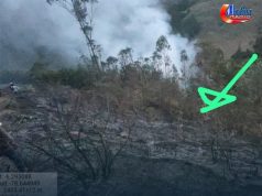 Cutervo: Poblador Fallece en Incendio Forestal