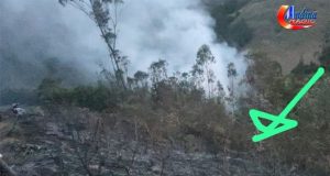 Cutervo: Poblador Fallece en Incendio Forestal