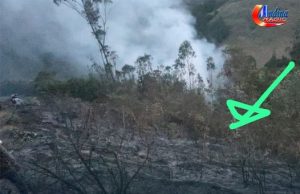Cutervo: Poblador Fallece en Incendio Forestal