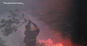 𝐒𝐀𝐍𝐂𝐈𝐎𝐍𝐀𝐃𝐎𝐒 𝐜𝐨𝐧 𝐩𝐞𝐧𝐚𝐬 𝐝𝐫𝐚́𝐬𝐭𝐢𝐜𝐚𝐬, 𝐩𝐞𝐫𝐬𝐨𝐧𝐚𝐬 𝐪𝐮𝐞 𝐨𝐜𝐚𝐬𝐢𝐨𝐧𝐞𝐧 𝐢𝐧𝐜𝐞𝐧𝐝𝐢𝐨𝐬 𝐟𝐨𝐫𝐞𝐬𝐭𝐚𝐥𝐞𝐬.