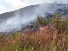 CAJAMARCA: INCENDIO FORESTAL EN LLACANORA (Video)
