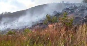 CAJAMARCA: INCENDIO FORESTAL EN LLACANORA (Video)