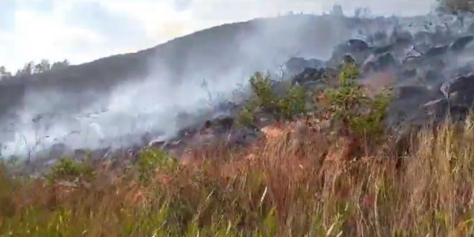 CAJAMARCA: INCENDIO FORESTAL EN LLACANORA (Video)