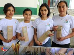 Sorbetes de Tallo de Avena, Propuesta Ecológica que Promueven Estudiantes de la UNACH