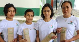 Sorbetes de Tallo de Avena, Propuesta Ecológica que Promueven Estudiantes de la UNACH