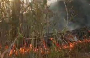 INCENDIO FORESTAL AFECTA BOSQUE DE PINOS EN LA COMUNIDAD DE COCHOPAMPA.