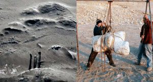 𝐇𝐀𝐋𝐋𝐀𝐙𝐆𝐎 𝐇𝐈𝐒𝐓𝐎́𝐑𝐈𝐂𝐎 𝐄𝐍 𝐈𝐂𝐀: 𝐃𝐄𝐒𝐂𝐔𝐁𝐑𝐄𝐍 𝐑𝐄𝐒𝐓𝐎𝐒 𝐃𝐄𝐋 𝐀𝐍𝐈𝐌𝐀𝐋 𝐌𝐀́𝐒 𝐏𝐄𝐒𝐀𝐃𝐎 𝐐𝐔𝐄 𝐇𝐀 𝐕𝐈𝐕𝐈𝐃𝐎 𝐄𝐍 𝐋𝐀 𝐓𝐈𝐄𝐑𝐑𝐀.