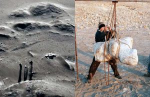 𝐇𝐀𝐋𝐋𝐀𝐙𝐆𝐎 𝐇𝐈𝐒𝐓𝐎́𝐑𝐈𝐂𝐎 𝐄𝐍 𝐈𝐂𝐀: 𝐃𝐄𝐒𝐂𝐔𝐁𝐑𝐄𝐍 𝐑𝐄𝐒𝐓𝐎𝐒 𝐃𝐄𝐋 𝐀𝐍𝐈𝐌𝐀𝐋 𝐌𝐀́𝐒 𝐏𝐄𝐒𝐀𝐃𝐎 𝐐𝐔𝐄 𝐇𝐀 𝐕𝐈𝐕𝐈𝐃𝐎 𝐄𝐍 𝐋𝐀 𝐓𝐈𝐄𝐑𝐑𝐀.