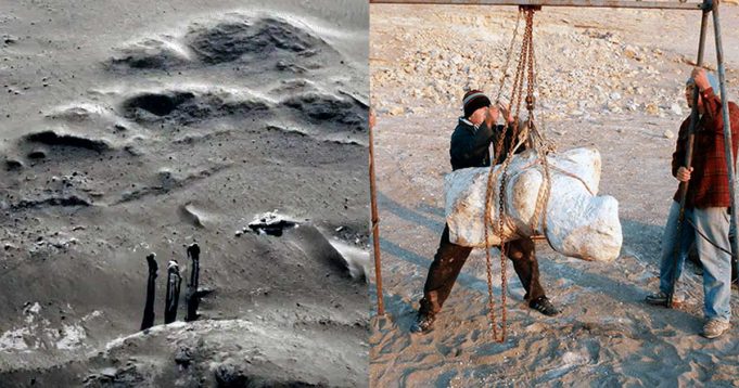 𝐇𝐀𝐋𝐋𝐀𝐙𝐆𝐎 𝐇𝐈𝐒𝐓𝐎́𝐑𝐈𝐂𝐎 𝐄𝐍 𝐈𝐂𝐀: 𝐃𝐄𝐒𝐂𝐔𝐁𝐑𝐄𝐍 𝐑𝐄𝐒𝐓𝐎𝐒 𝐃𝐄𝐋 𝐀𝐍𝐈𝐌𝐀𝐋 𝐌𝐀́𝐒 𝐏𝐄𝐒𝐀𝐃𝐎 𝐐𝐔𝐄 𝐇𝐀 𝐕𝐈𝐕𝐈𝐃𝐎 𝐄𝐍 𝐋𝐀 𝐓𝐈𝐄𝐑𝐑𝐀.