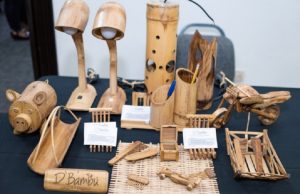 INICIAN PROYECTO DE BAMBÚ PARA POTENCIAR SU PRODUCCIÓN EN CAJAMARCA PIURA, Y AMAZONAS