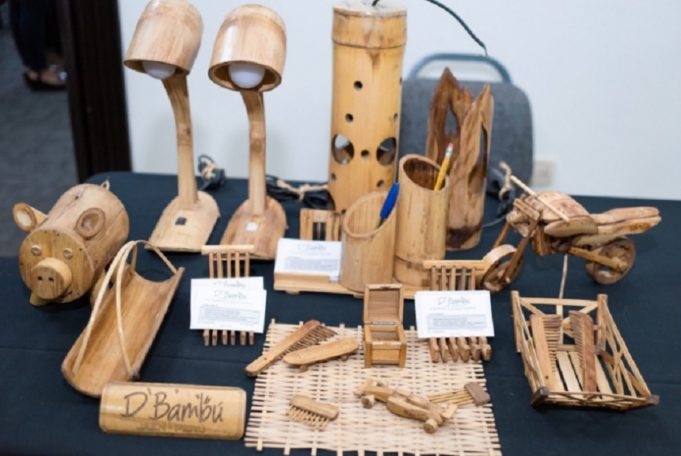 INICIAN PROYECTO DE BAMBÚ PARA POTENCIAR SU PRODUCCIÓN EN CAJAMARCA PIURA, Y AMAZONAS