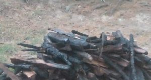 SUJETOS DESCONOCIDOS PRENDEN FUEGO A DOMICILIO DE UNA PAREJA DE ESPOSOS EN CUTERVO.