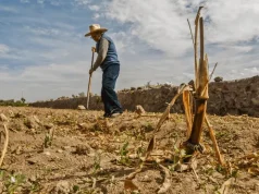 DECLARAN EMERGENCIA EN 14 REGIONES DEL PAIS POR ESCASEZ DE AGUA