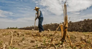 DECLARAN EMERGENCIA EN 14 REGIONES DEL PAIS POR ESCASEZ DE AGUA