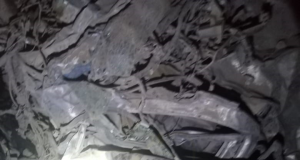 ACCIDENTE DE TRÁNSITO LA RUTA TACABAMBA A CHIMBAN DEJA COMO SALDO UNA PERSONA FALLECIDA (VIDEO)