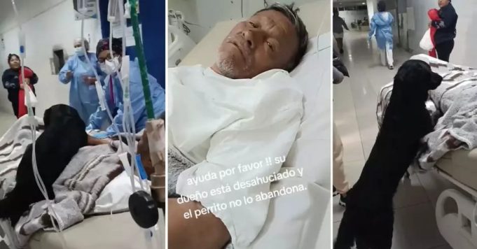 HOMBRE DESAHUCIADO PIDE QUE ADOPTEN A SU PERRITO ‘FIRULAIS’.