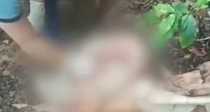 SAN MARTIN: PADRE ABUSO DE SUS DOS HIJAS (video)