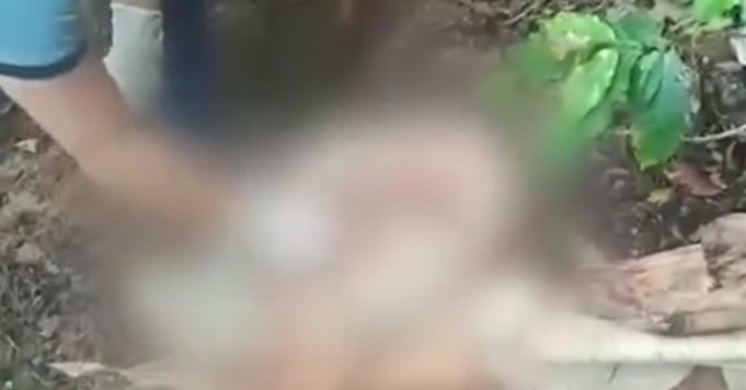 SAN MARTIN: PADRE ABUSO DE SUS DOS HIJAS (video)