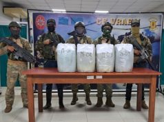 PNP DECOMISA MÁS DE UNA TONELADA DE DROGA EN AMAZONAS Y AYACUCHO