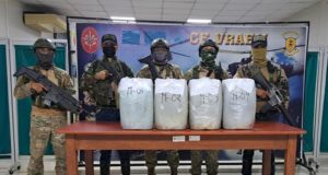 PNP DECOMISA MÁS DE UNA TONELADA DE DROGA EN AMAZONAS Y AYACUCHO
