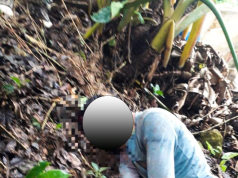 CUTERVO: SUJETO ATACÓ CON BRUTALIDAD Y QUITÓ LA VIDA CON UNA PALANA A SU VÍCTIMA.