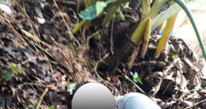 CUTERVO: SUJETO ATACÓ CON BRUTALIDAD Y QUITÓ LA VIDA CON UNA PALANA A SU VÍCTIMA.