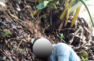 CUTERVO: SUJETO ATACÓ CON BRUTALIDAD Y QUITÓ LA VIDA CON UNA PALANA A SU VÍCTIMA.