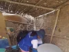 ANCASH: AUMENTAN A 437 CASOS DE DENGUE EN NUEVO CHIMBOTE, CASMA, NEPEÑA Y HUARMEY