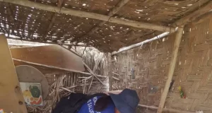 ANCASH: AUMENTAN A 437 CASOS DE DENGUE EN NUEVO CHIMBOTE, CASMA, NEPEÑA Y HUARMEY