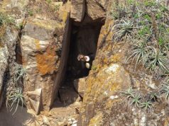 HALLAN POR PRIMERA VEZ NIDO DE CÓNDORES EN EL SUR DE AYACUCHO
