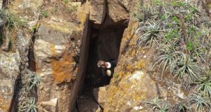 HALLAN POR PRIMERA VEZ NIDO DE CÓNDORES EN EL SUR DE AYACUCHO