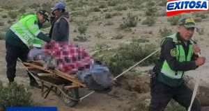 JOVEN MADRE DA A LUZ A BEBE, PERO MUERE POR LA LEJANIA A UN CENTRO DE SALUD EN SAN JUAN DE TARUCANI