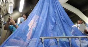 PIURA REGISTRA LA MAYOR CANTIDAD DE NIÑOS FALLECIDOS POR DENGUE.