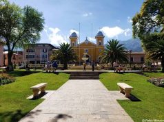 EN CAJABAMBA, SUJETO INTENTA MATAR A SU ESPOSA OCASIONANDOLE LESIONES CON ARMA BLANCA (CUCHILLO) Y POSTERIORMENTE INGIRIO VENENO.