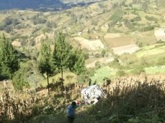 ACCIDENTE DE TRÁNSITO DEJA PERSONAS HERIDAS EN LA COMUNIDADES DE CHAMES DISTRITO DE CONCHÁN