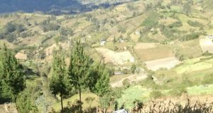 ACCIDENTE DE TRÁNSITO DEJA PERSONAS HERIDAS EN LA COMUNIDADES DE CHAMES DISTRITO DE CONCHÁN