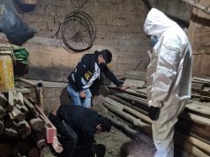 FISCALÍA DE SAN MARCOS, LOGRÓ 09 MESES DE PRISIÓN PREVENTIVA CONTRA FEMINICIDA