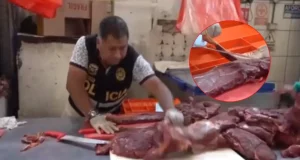 INCAUTAN UNA TONELADA DE CARNE DE CABALLO QUE SE VENDÍA COMO CARNE DE RES EN MERCADOS