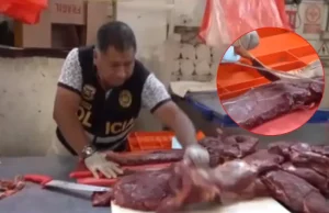 INCAUTAN UNA TONELADA DE CARNE DE CABALLO QUE SE VENDÍA COMO CARNE DE RES EN MERCADOS