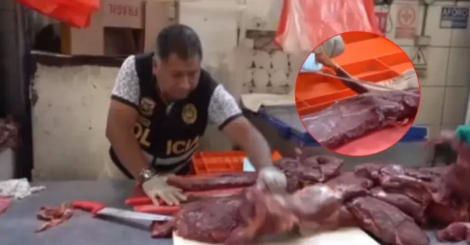 INCAUTAN UNA TONELADA DE CARNE DE CABALLO QUE SE VENDÍA COMO CARNE DE RES EN MERCADOS