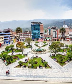 CHOTA: CON UNA PIEDRA DETRUYE PUERTA PARA ROBAR EQUIPOS CELULARES