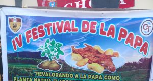 CHOTA: DIA NACIONAL E INTERNACIONAL DE LA PAPA