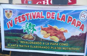 CHOTA: DIA NACIONAL E INTERNACIONAL DE LA PAPA