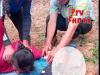 ALCALDE DE CENTRO POBLADO DE PARIAMARCA PIERDE LA VIDA AL SER IMPACTADO EN LA CABEZA POR LA CAIDA DE ARBOL.