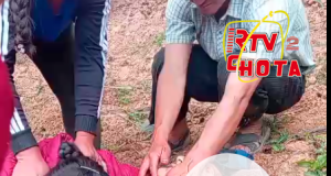 ALCALDE DE CENTRO POBLADO DE PARIAMARCA PIERDE LA VIDA AL SER IMPACTADO EN LA CABEZA POR LA CAIDA DE ARBOL.