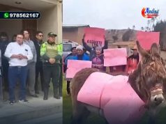 POBLADORES INTENTARON SUBIR A UN BURRO A ALCALDE EN HUANCAVELICA